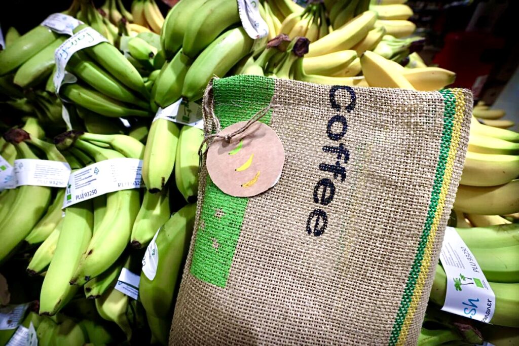 cirkulär fruktpåse av naturfärgad kaffesäck med gul grönt tryck på  med bananer i samma färger som bakgrund